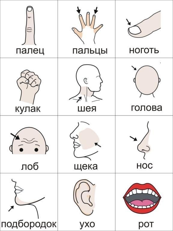 PECS и Визуальное расписание