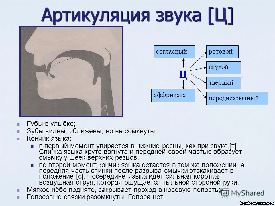 Миофункциональный Логопед